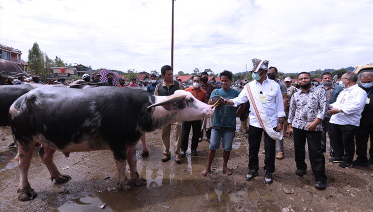 Menteri Pertanian Syahrul Yasin Limpo di Pasar Hewan Bolu Toraja Utara. (FOTO: Dok. Kementan RI)