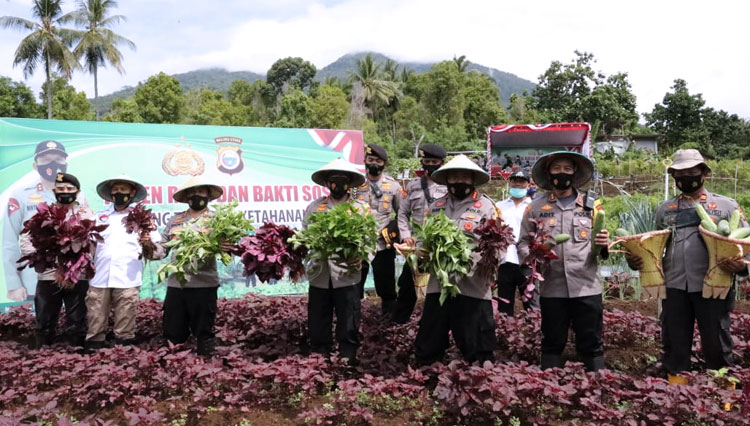 Kapolda Malut, PJU Polda, dan petani saat memanen sayuran. (Foto: Dok Humas Polda Malut for TIMES Indonesia)