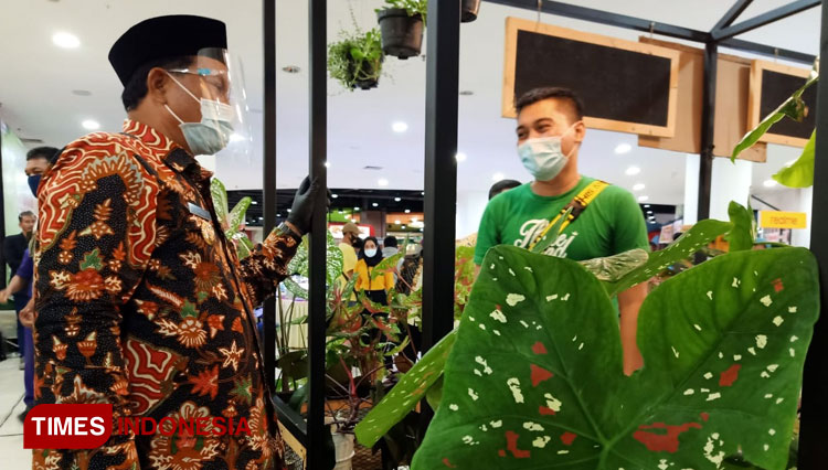 Wali Kota Madiun H. Maidi saat meninjau aquarium dan tanaman hias pada pameran Aquscape dan Flora Fest. (Foto: Aditya Candra/TIMES Indonesia)