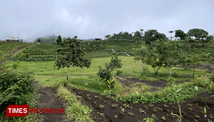 Bukit Pasir Haur Gunung Galunggung Tasikmalaya (Foto: Wildan/TIMES Indonesia)