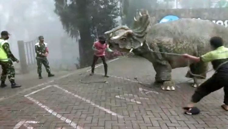 Dinosaurus B