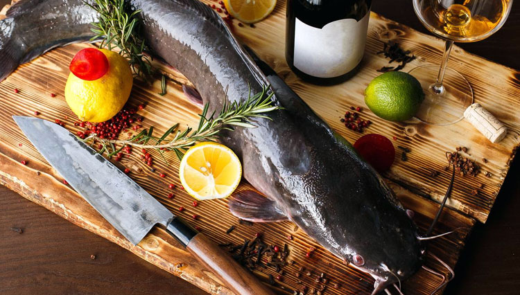 Ikan lele (FOTO: iliasalaev/Shutterstock)