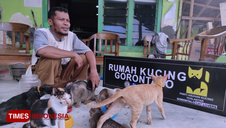 Mohammad Djafar saat memberi makan kepada Kucing-kucingnya dirumahnya yang dijadikan sebagai Panti Kucing (FOTO: Sarjan Lahay/TIMES Indonesia)