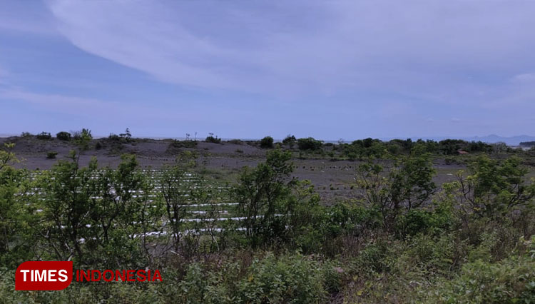 Lokasi yang akan dijadikan area pertambangan pasir besi di Pantai Paseban, Desa Paseban, Jember. (Foto: Edina Nanda Suprayogi/TIMES Indonesia)