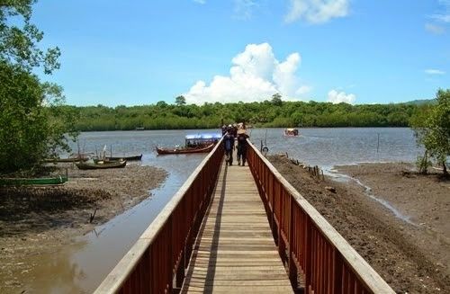 Hutan Mangrove Bedul