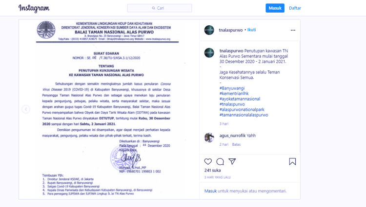alas purwo 3