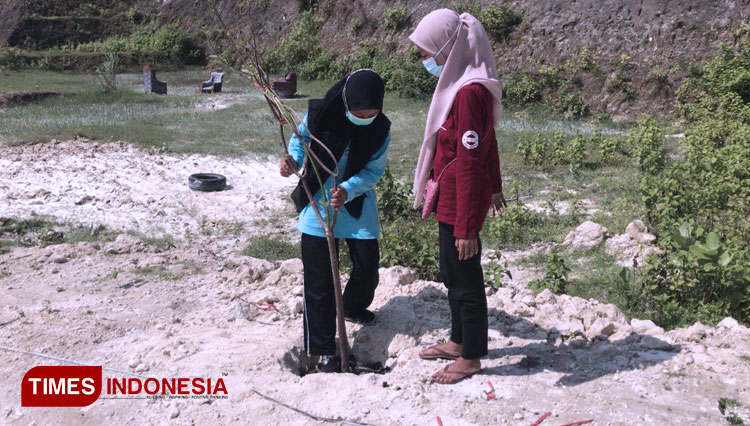 Salah satu warga saat menanam pohon di bukir kapur pasca tambang Desa Suci Kecamatan Manyar Kabupaten Gresik (Foto: Akmal/TIMES Indonesia)