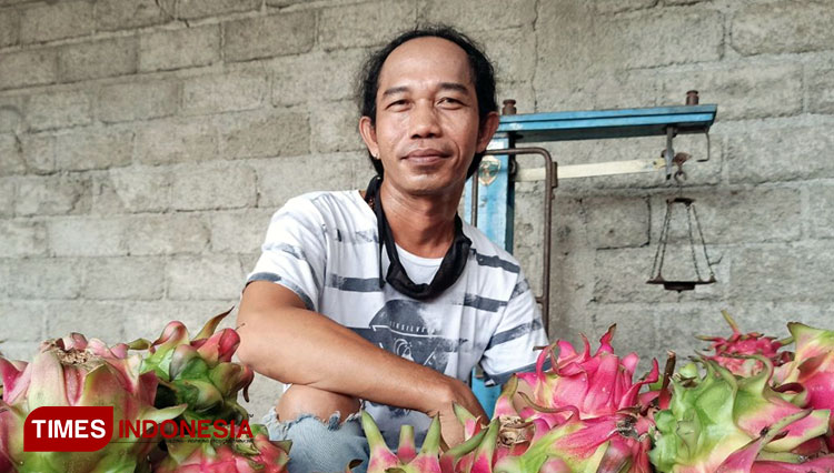 Imron Sholeh alias Imron Gondrong, penjual buah naga asal Banyuwangi yang disebut mirip Presiden RI Jokowi. (FOTO: Agung Sedana/ TIMES Indonesia)