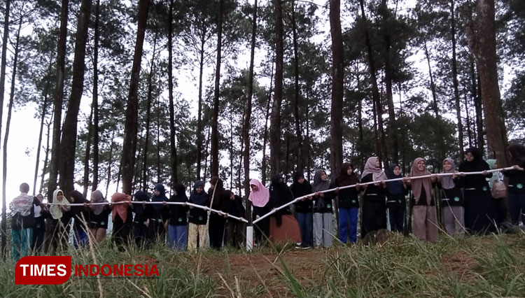 Hutan Pinus Darmacaang Ciamis (foto: Natasya/TIMES Indonesia)