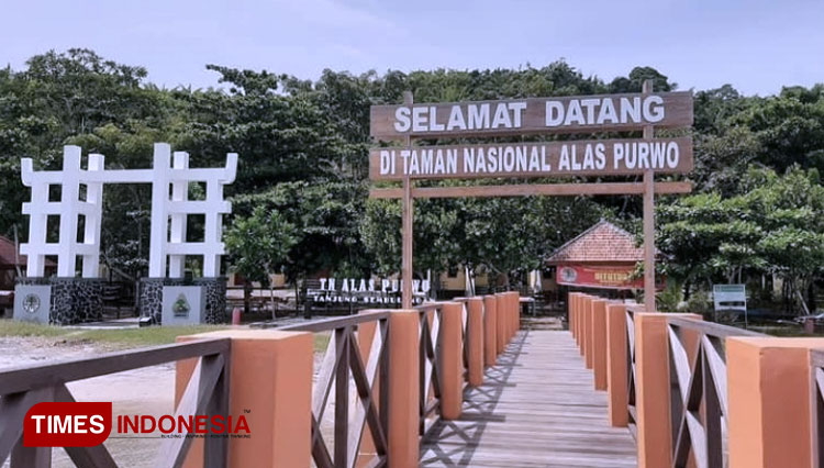 Jembatan pinggir pantai di Taman Nasional Alas Purwo Banyuwangi (Foto: Dokumentasi TIMES Indonesia)