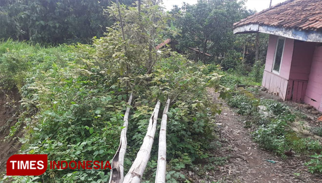 Rumah yang terancam tergerus sungai, karena jaraknya hanya beberapa meter saja dari tebing sungai. (Foto: Muhamad Jupri/TIMES Indonesia)