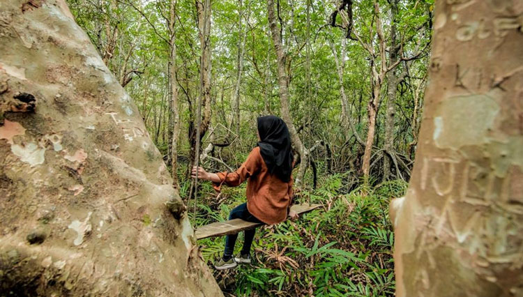 Mangrove a