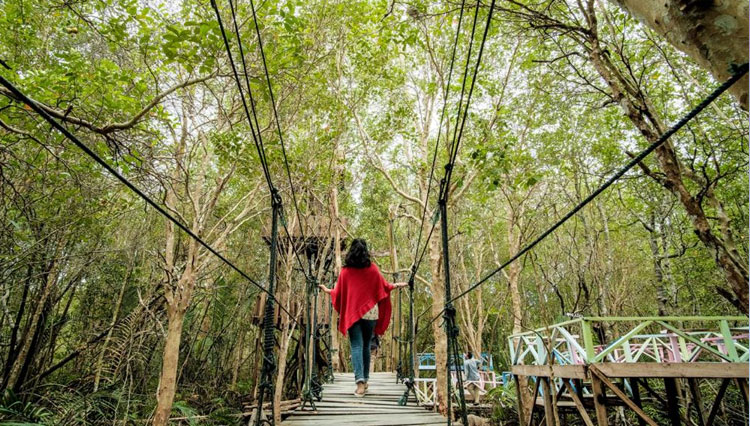 Kemenparekraf RI mendukung pengelolaan hutan mangrove sebagai kawasan ekowisata. (foto: Kemenparekraf RI)