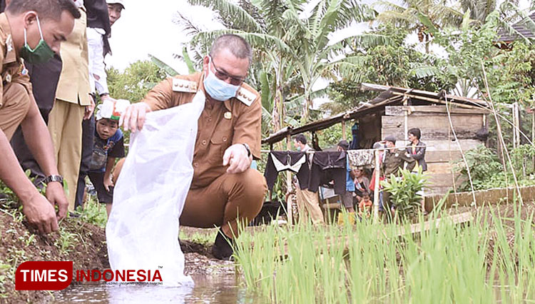 Wali Kota Pagaralam Alpian AMskoni menyebar bibit Ikan. (Foto: Asnadi/TIMES Indonesia)