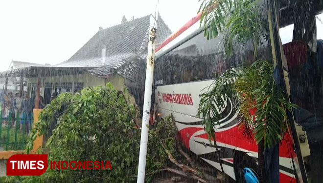 Bus-PO-Sindoro-Satriamas-2.jpg