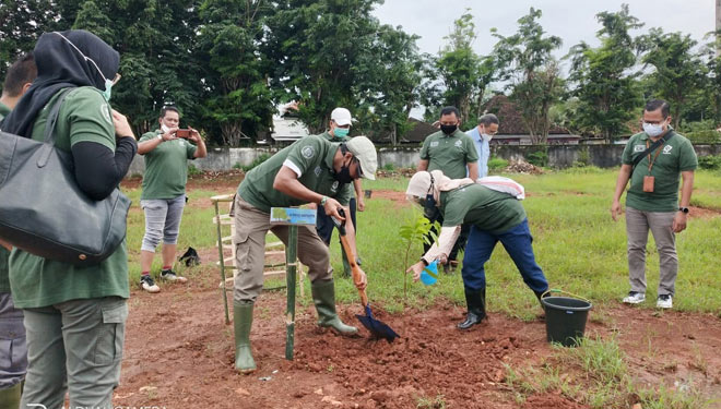 PT Garam melakukan gerakan revitalisasi kawasan Kota Tua Kalianget, Sumemep, Jawa Timur dengan menanam bibit pohon, Senin (18/01/2021).