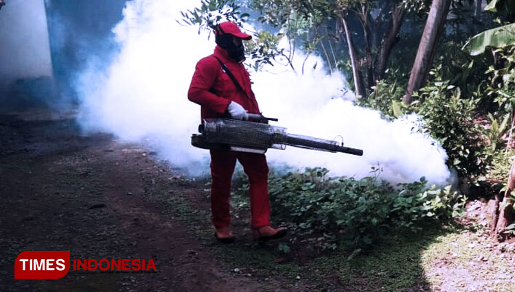 Fogging untuk mencegah virus DBD yang disebabkan nyamuk Aides Aegypti (FOTO: Moh Bahri/TIMES Indonesia).