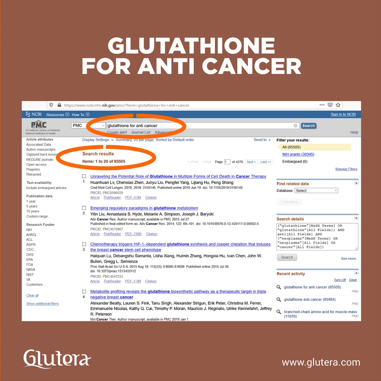 Gluteranews 1