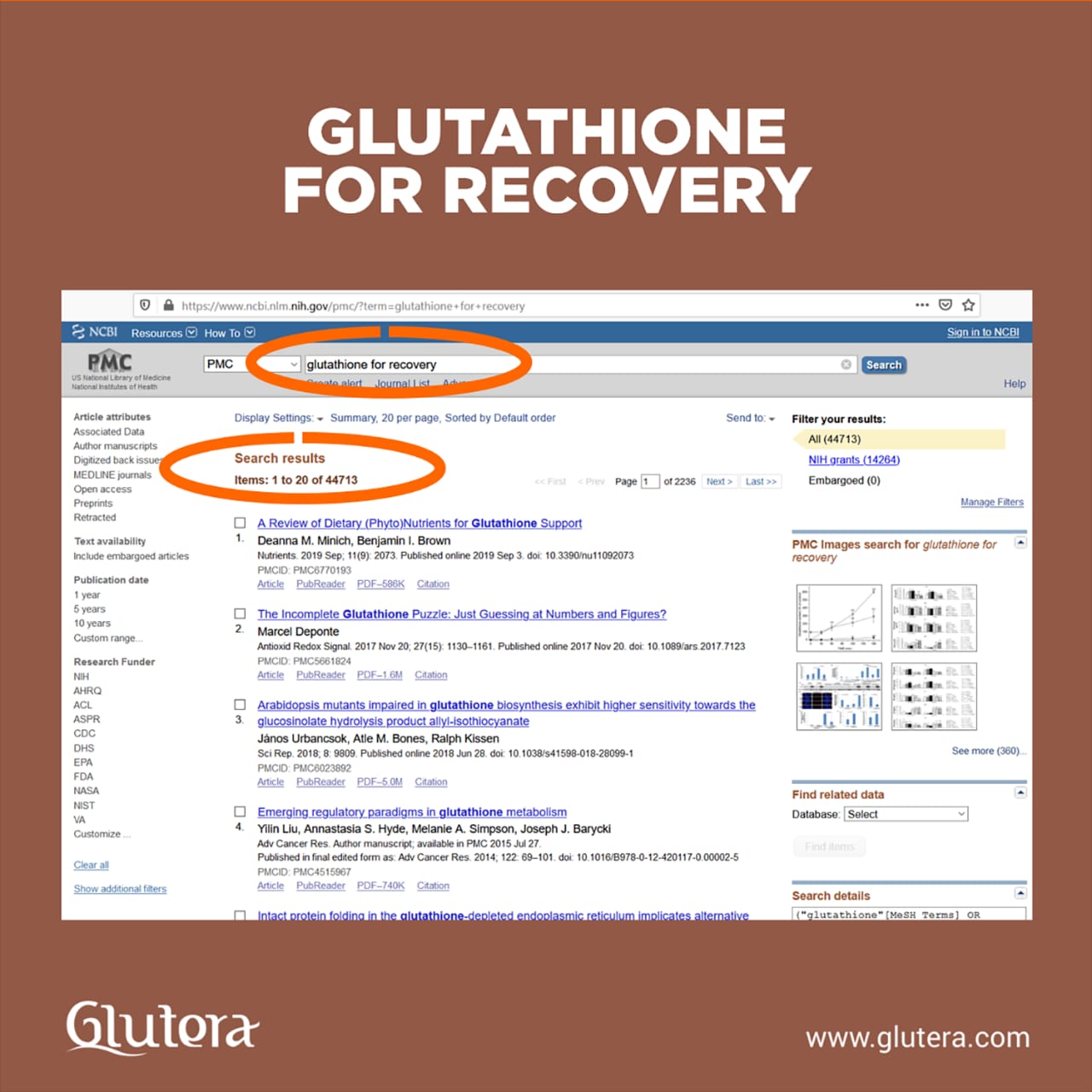 Gluteranews 4