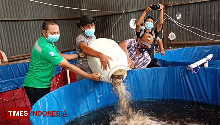 Kelompok usaha bersama budidaya ikan lele a