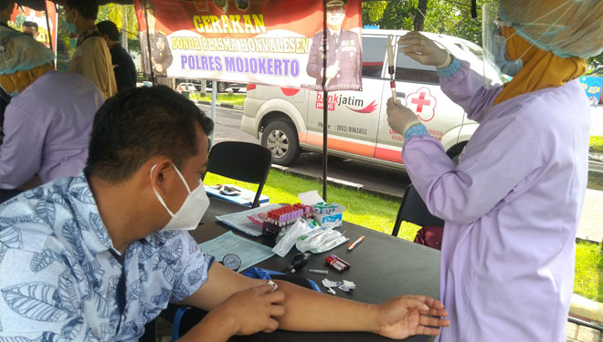 Proses pengambilan donor plasma konvalesen di Lapangan Polres Mojokerto (21/01/2021). (Foto: Thaoqid Nur Hidayat/TIMES Indonesia)