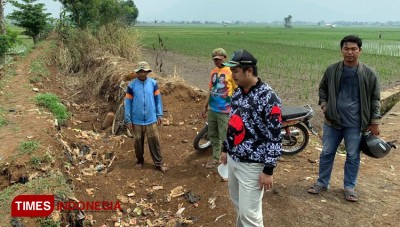 Para Petani Bingung, Ratusan Hektar Sawah Malah Kekeringan Di Musim ...