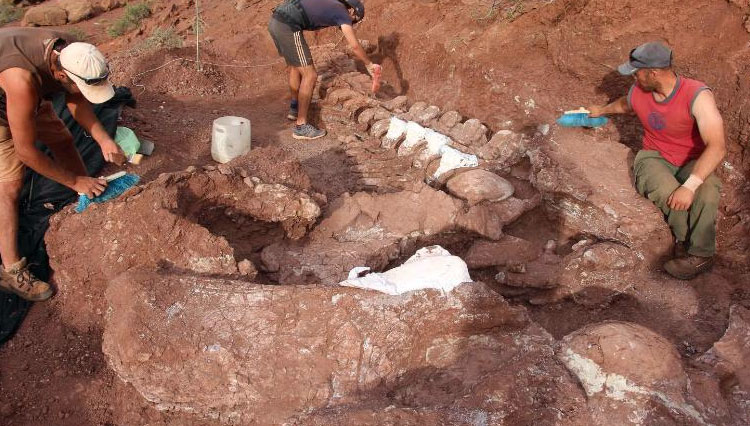 Peneliti Diduga Temukan Fosil Titanosuarus Terbesar di Brasil