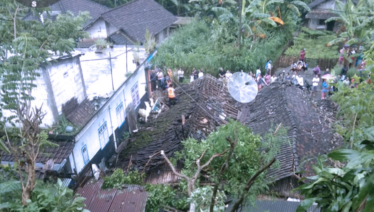 tanah longsor tebing 3