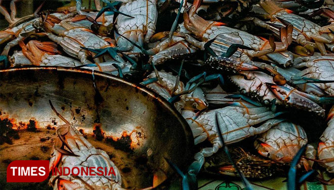 Kepiting.jpg