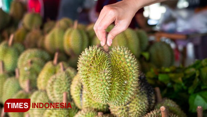 Durian-3.jpg