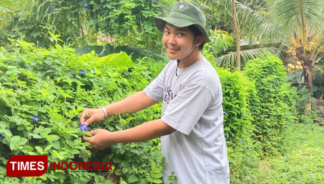 Ilham Hamdani di kebun teh bunga telang dan Angkringan Telang. (Foto: Syamsul Ma'arif/TIMES Indonesia)