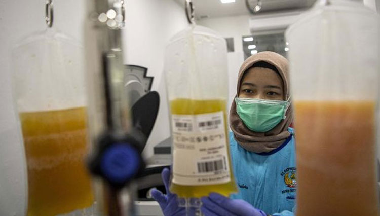Donor-plasma-konvalesen.jpg