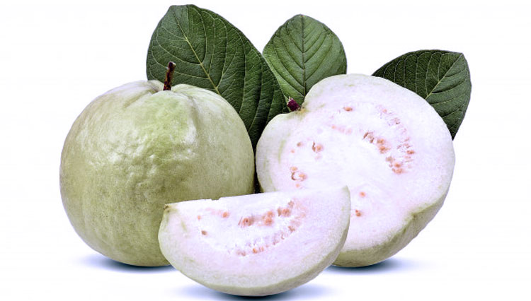 Guava with white flesh. (Photo: Freepik)