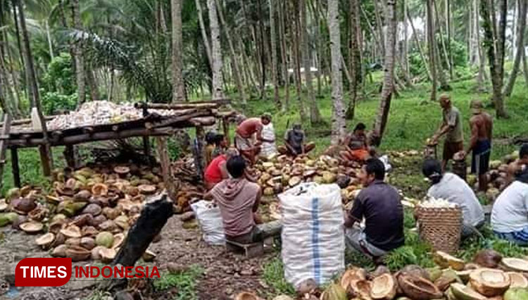 Warga Desa BBK Morotai Jaya a