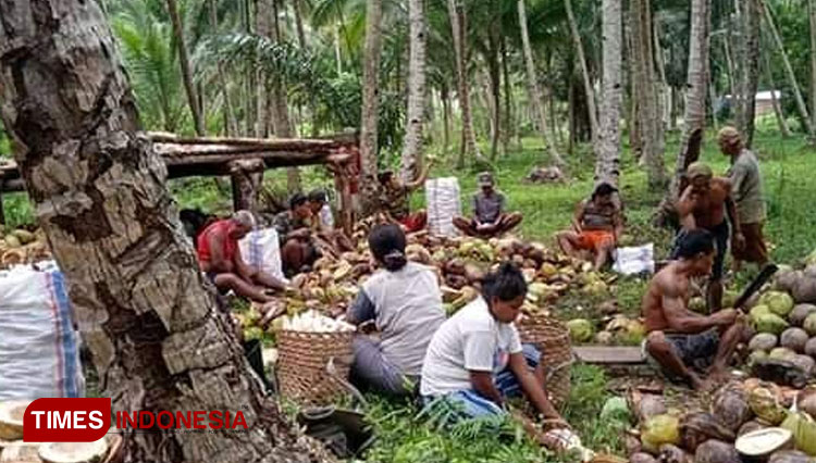 Warga Desa BBK Morotai Jayab