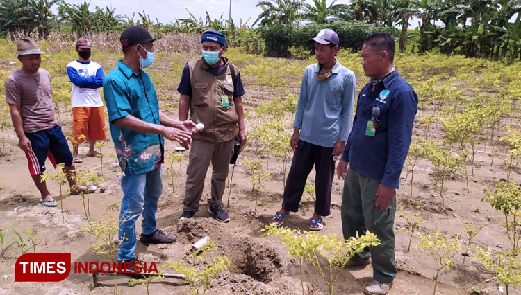 Petugas BKSDA bersama Penjaga Reptil Kebun Binatang Maharani Lamongan, melakukan identifikasi di lokasi temuan telur, Desa Prijekngablak, Karanggeneng, Lamongan, Jumat (12/2/2021). (FOTO: MFA Rohmatillah/TIMES Indonesia)