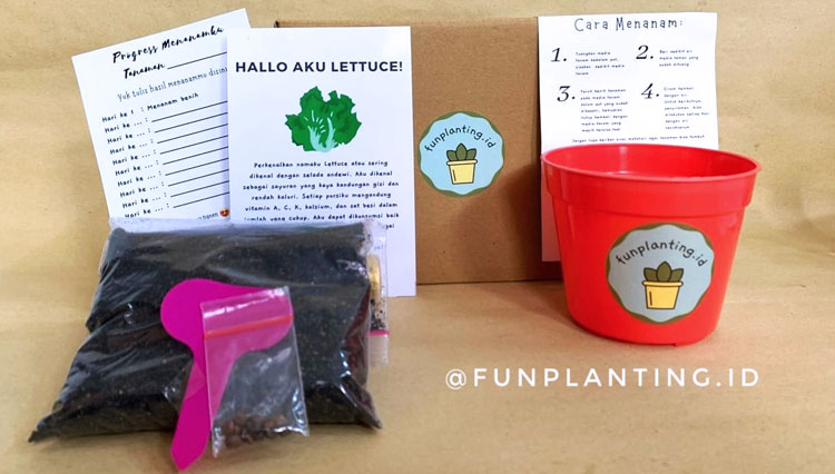 Funlearning d