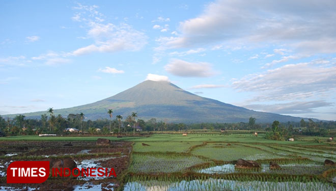Gunung Dempo Pagaralam Sumsel. (Foto: Asnadi/ TIMES Indonesia)
