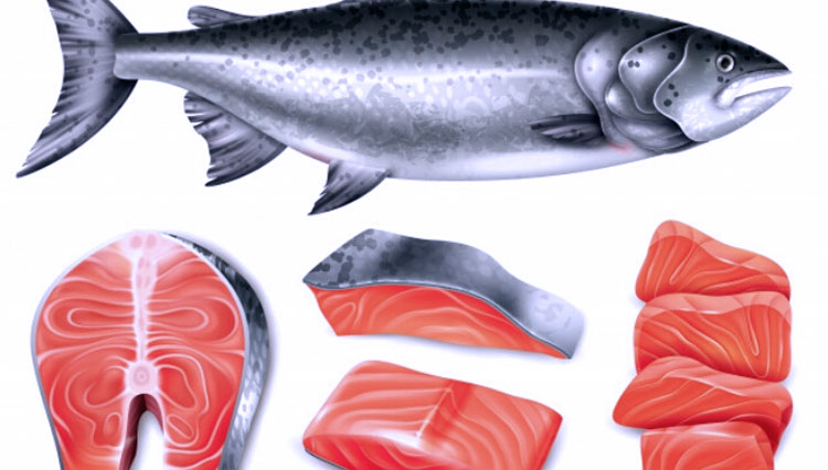 Ikan-Salmon.jpg