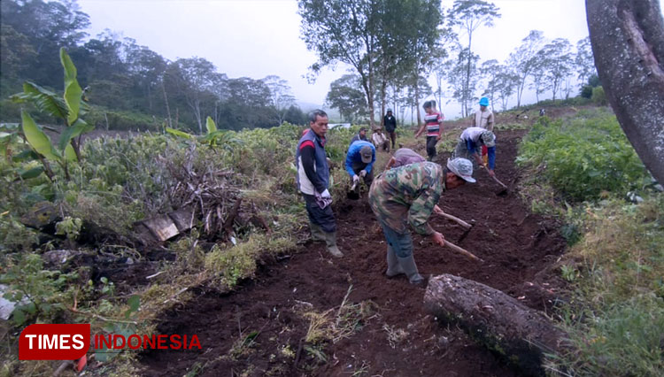 Anggota Poktan Kibuk membangun jalan sepanjang 1 Km di areal kerjanya (FOTO: Asnadi/TIMES Indonesia)