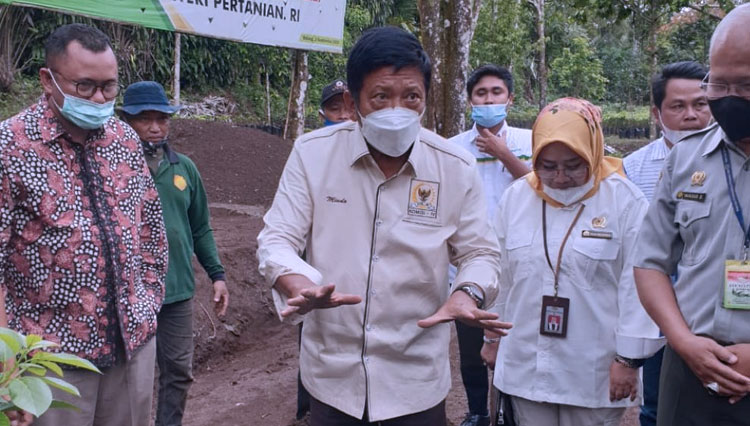 Kunjungan Kerja Komisi IV DPR RI Embuskan Angin Segar Bagi Petani ...