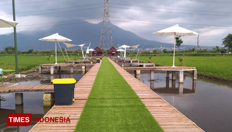 Spot Selfi Gubug Padi Cafe, dengan mengusung konsep jembatan kayu, rumput sintetis di tengah sawah. (18/02/2021) (Foto: Thaoqid Nur Hidayat/TIMES Indonesia)