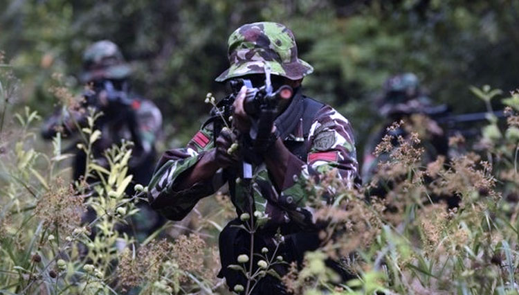 Pasukan-TNI-Lumpuhkan-Satu-Anggota-KKB-Puncak-Jaya-2.jpg