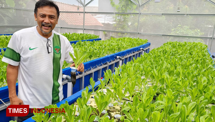 Mantan Menpora era Presiden SBY, Andi Malarangeng menunjukkan hasil pertanian ala green house di kediamannya daerah Cipayung, Jakarta Timur pekan lalu.(Foto : Kiagus Firdaus/TIMES Indonesia) 