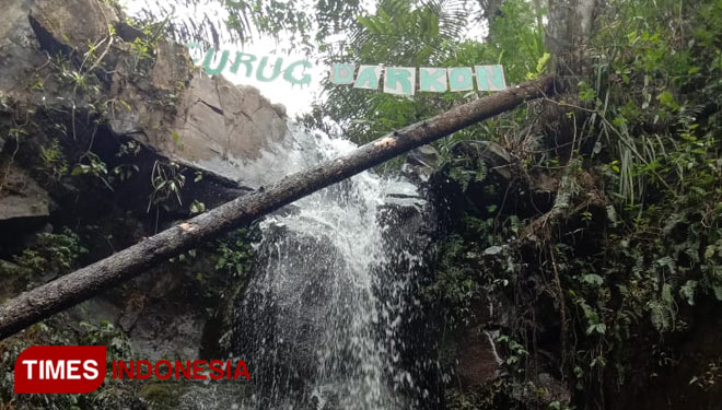 Puncak Darkon Waterfall. (Photo: Natasya/TIMES Indonesia)
