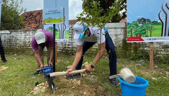 Pertamina bersama dengan Pemerintah Kabupaten Pamekasan bersinergi melakukan penanaman pohon ketapang di 13 kecamatan, Senin (22/2/2021). (Foto: Dok.Pertamina) 