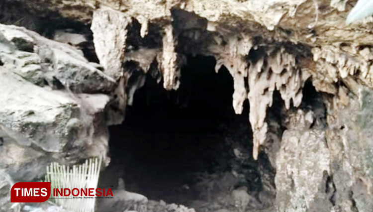 Find Thousands of Bat at Lalay Cave Pangandaran