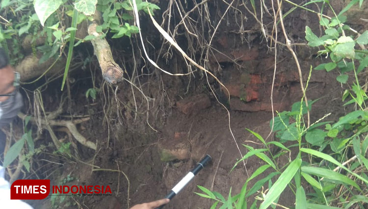 Penemuan bata kuno di pematang sawah warga di Dusun Bataan Desa Jebung Kidul Kecamatan Tlogosari Kabupaten Bondowoso Jawa Timur (Foto: Moh Bahri/TIMES Indonesia).