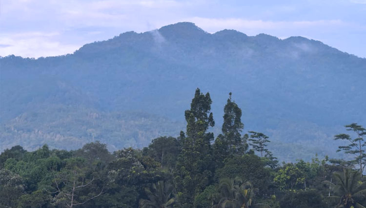 pegunungan Sawal