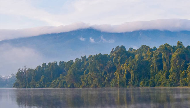 Hutan.jpg